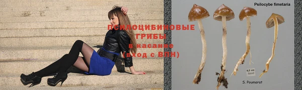 Альфа ПВП Заводоуковск