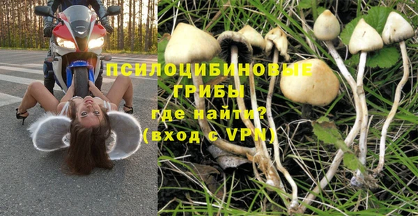дурь Заволжье