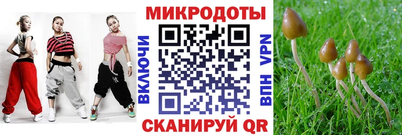 Купить  Мензелинск  Псилоцибиновые грибы Psilocybe 